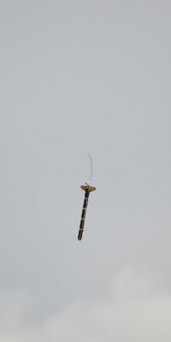 2013 Suche 29062013 Michal